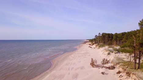 Aerial-view-of-Baltic-sea-coast-on-a-sunny-day,-steep-seashore-dunes-damaged-by-waves,-broken-pine-trees,-coastal-erosion,-climate-changes,-wide-angle-drone-shot-moving-forward