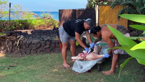 Carving-the-whole-Kalua-pig-in-preparation-for-burying-it-in-an-imu-pit-to-slow-roast-for-a-traditional-luau