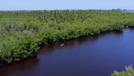 Kleines-Boot-Mit-Mann,-Der-Am-Flussufer-Entlang-Rudert,-Umgeben-Von-Mangrovenwäldern