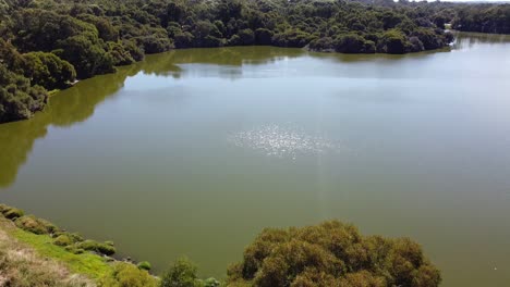 Aerial-Tilt-Up-Shot-Over-Tree-Lake-Joondalup-With-Glistening-Sunlight