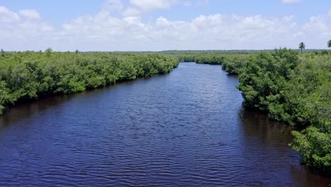 Flussüberquerung-Mangrovenwald-Bei-San-Pedro-De-Macoris-In-Der-Dominikanischen-Republik
