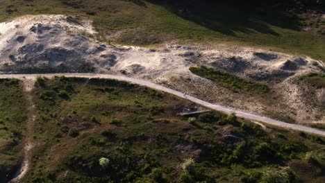 Drone-Rastreando-Macho-Corriendo-En-Un-Sendero-Retorcido-A-Través-Del-Exuberante-Bosque-De-Dunas-De-Oostvoorne