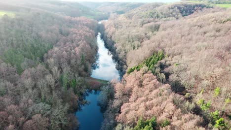 Kennel-Pond,-Stroud-in-Woodchester-park-between-trees,-aerial-view