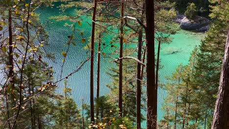Bosque-Con-El-Hermoso-Lago-Eibsee-En-Baviera-Detrás,-Con-Agua-Turquesa,-Muy-Cerca-De-La-Montaña-Zugspitze