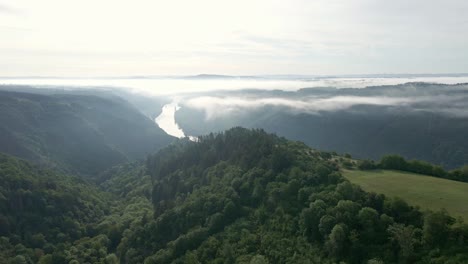The-steep-and-lush-mountainsides-of-the-moselle-wine-region-on-a-misty-spring-morning