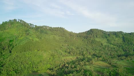 aerial-drone-view-of-hill-and-forest-in-tropical-country-Indonesia