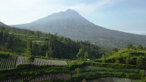 Merapi-volcano-with-rural-view-of-plantation-that-planted-with-brocolli,-cabbage,-potatoes-and-green-onions,-central-java,-Indonesia