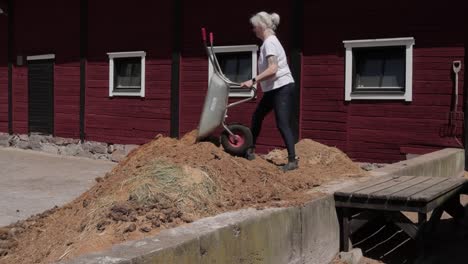 A-Caucasian-lady-emptying-a-wheelbarrow-filled-with-soiled-bedding-and-droppings-after-cleaning-her-horses-stable,-Sweden