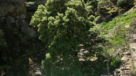 HE-SPECTACULAR-MEANCERA-WATERFALL-IN-THE-NORTH-OF-EXTREMADURA-LANDSCAPED-IN-A-NATURAL-PLACE-A-WATERFALL-100-METERS-RECORDED-WITH-MAVIC-3-IN-C4K-30FPS-AND-WITHOUT-COLOR-CORRECTION