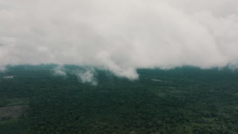Lush-Treetops-Of-Amazon-Jungle-Over-Cloudscape-In-Ecuador