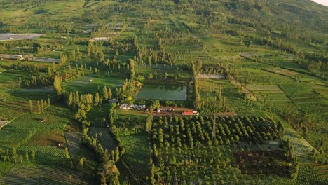 Lago-Artificial-Como-Suministro-De-Agua-Para-La-Agricultura-En-Medio-De-Plantaciones-De-Tabaco-Y-árboles