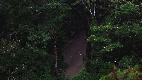 Costa-Rica-wilderness-travel-adventure-exploring-Monteverde-natural-reserve-in-Central-America,-jungle-rainforest-tourist-attraction-travel-destination-in-wilderness