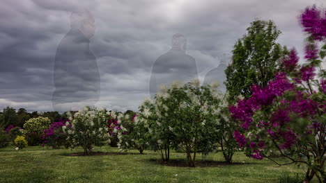 Scenic-Landscape-With-Dwarf-Lilac-Tree-Blooming-In-White-And-Purple-Flowers-On-A-Cloudy-Day