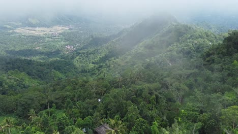 Aerial-View-Of-Lush-Hillside-Forest-In-Amed,-Bali