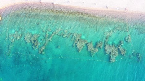 Eilat,-Vista-De-Drones-De-Arriba-Hacia-Abajo-De-Israel-Moviéndose-A-Través-De-Un-Arrecife-De-Coral-Y-Aguas-Cristalinas-Famosas-Por-El-Turismo,-El-Buceo-Y-La-Observación-De-La-Vida-Marina