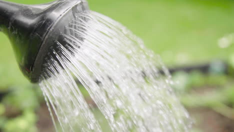 Using-plastic-watering-can-in-a-garden-close-up-hose-slow-motion