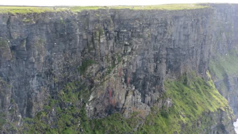 Birds-flying-along-the-Cliffs-of-Moher-In-Ireland-Wide-Shot