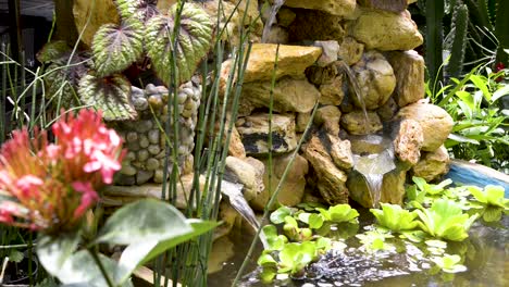 Schöner-Brunnen-Mit-Zierpflanzen-Und-Wasserpflanzen-Geschmückt