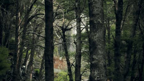 Cascada-En-Un-Bosque-En-El-Sur-De-Chile