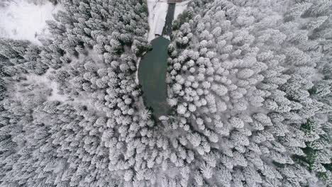 Top-down-view-of-small-lake-and-wooden-hut-surrounded-by-pine-trees-covered-in-snow