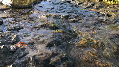 Fast-creek-with-clear-water-running-over-the-stones
