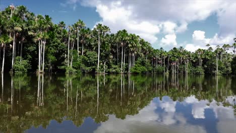 Reflection-of-lake-tambopata-in-peru