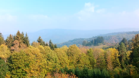 Crane-shot-of-a-wide-forest-landscape-in-autumn,-Black-Forest,-Germany