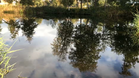 Reflexion-Von-Herbstbäumen-Und-Blauem-Himmel-In-Einem-Teich