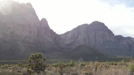 Pflanzen-Und-Klippen-Im-Red-Rock-Canyon-National-Conservation-Area-In-Nevada,-USA---Kamera-Kippt-In-Zeitlupe-Nach-Oben