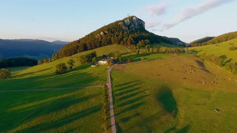 swiss-highland-Jura-cow-range
