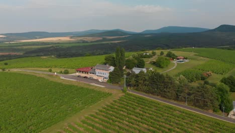 Luxury-resort-accommodation-surrounded-by-vineyards-in-the-hills-in-Hungary---Aerial-Drone