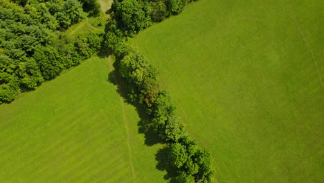 Aerial-view-of-a-flat-farming-grassland