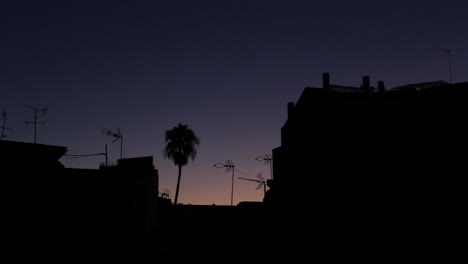 Timelapse-of-the-sunrise-behind-buildings-silhouette-with-antennas,-birds-flying-and-a-palm-tree-shaken-by-the-wind,-begins-in-the-dark-and-ends-with-the-scene-lighted-briefly