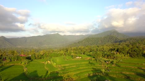 Beautiful-aerial-footage-of-the-hill-and-rice-fields-in-Bali