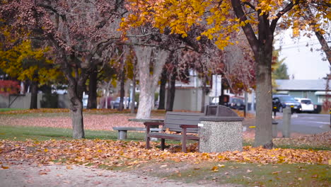 Herbstlaub,-Das-Um-Eine-Parkbank-Fällt