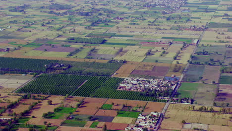 Aerial-view-of-farm-land-and-a-small-farming-community-in-Oregon,-Agricultural-crops-growing-on-farmland,-India