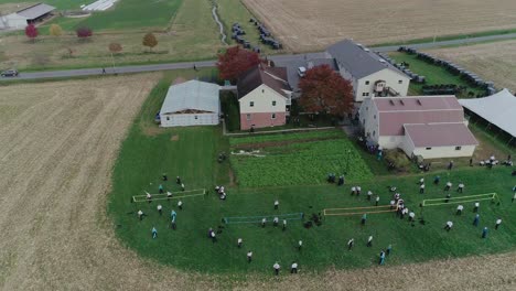 Luftansicht-Einer-Amish-Hochzeit-An-Einem-Herbsttag-Mit-Buggys,-Ein-Amish,-Der-Volleyball-Spielt,-Wie-Von-Einer-Drohne-Gesehen