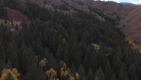Drone-footage-of-colorful-trees-in-the-mountains
