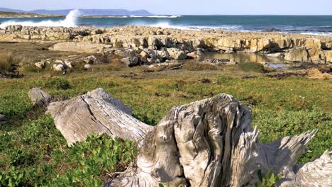 Old-log-lying-in-foreground-of-rocky-coastline-with-rough-ocean