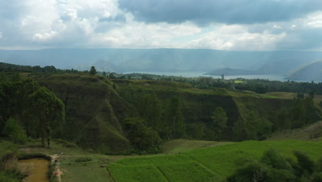 Drone-aerial-flyover-of-rice-terrace-fields-and-valleys-on-Samosir-Island-on-Lake-Toba-in-North-Sumatra,-Indonesia