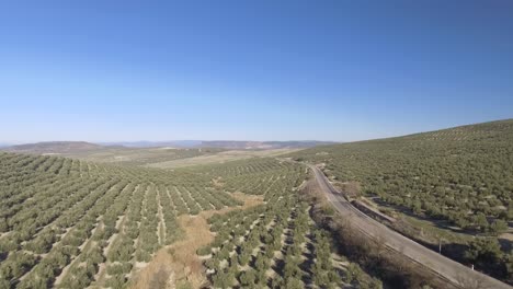 A-flight-parallel-to-the-road-that-runs-among-endless-olive-groves-in-the-hills