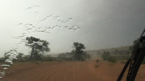 Der-Blick-Aus-Einem-Safarifahrzeug-Auf-Den-Regen-Und-Die-überschwemmungen-Entlang-Der-Sandstraßen-Der-Kalahari-Im-Kgalagadi-Transfrontier-Park