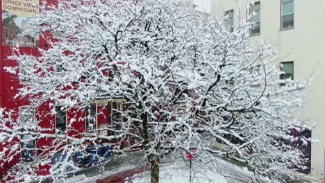 Schneebedecktes-Auto-Unter-Einem-Baum-Nach-Schneesturm,-Fliegen-In-Der-Innenstadt-Von-Lancaster,-Pa