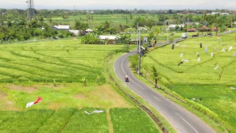 Luftaufnahme-Einer-Schmalen,-Kurvenreichen-Straße-Mit-Fahrzeugen,-Die-Sich-Neben-Reisfeldern-In-Canggu-Bali-Bewegen