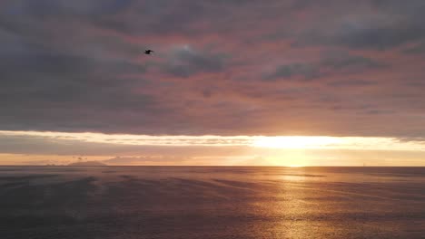 Following-a-bird-flying-over-a-calm-ocean,-against-a-cloudy-sunrise