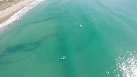 Aerial-Drone-Shot-Revealing-Multiple-Surfers-Waiting-to-Catch-a-Wave