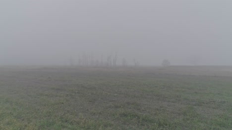 Herbstflug-Durch-Den-Nebel-über-Das-Feld-Zum-Fluss