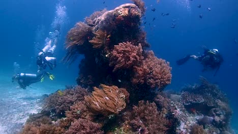 Unberührte-Korallenriffe,-Die-Aus-Dem-Weißen-Sand-Ragen