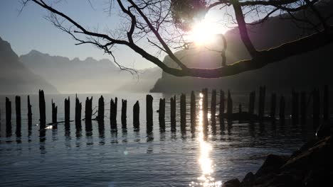 Breite-Engelsaufnahme-Von-Enten,-Die-Um-Einen-Kaputten-Holzsteg-In-Einem-Fjordsee-In-Weesen,-Schweiz,-Schwimmen