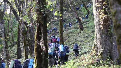 Himalayan-mountaineers-on-their-way-to-reach-their-destination-with-their-backpacks---essential-goods---passing-through-Himalayan-hills---Sal-Forest,-Uttarakhand,-India